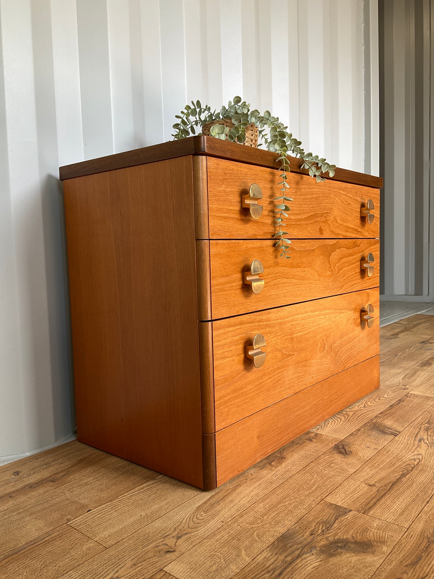 Stag Chest of Drawers Mid-Century Teak